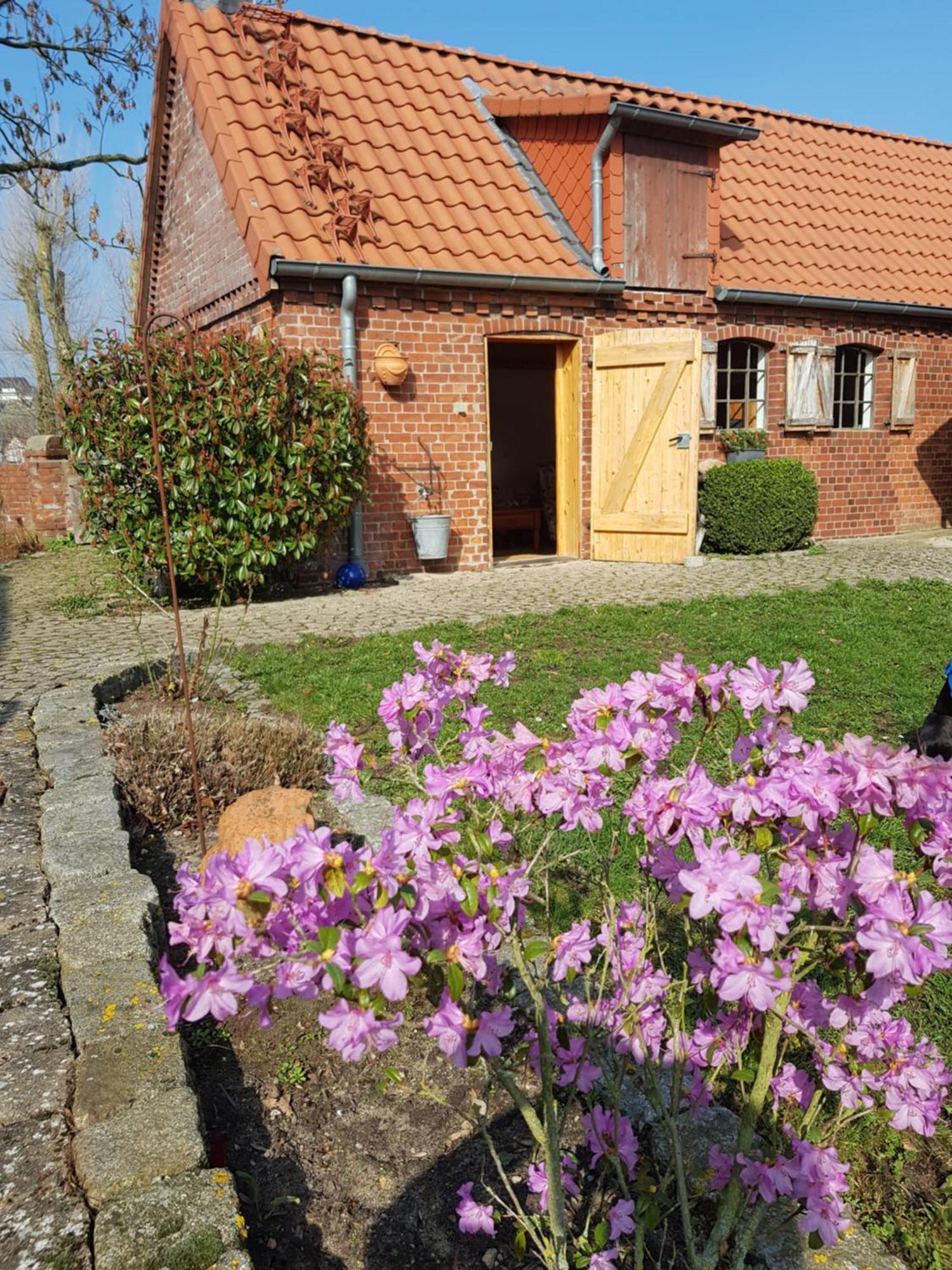 Ferienhaus Voern-Diek Hohnstorf Exteriör bild