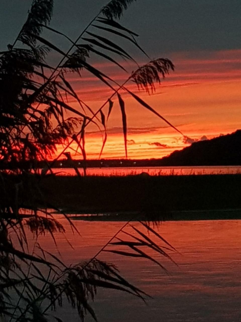 Ferienhaus Voern-Diek Hohnstorf Exteriör bild